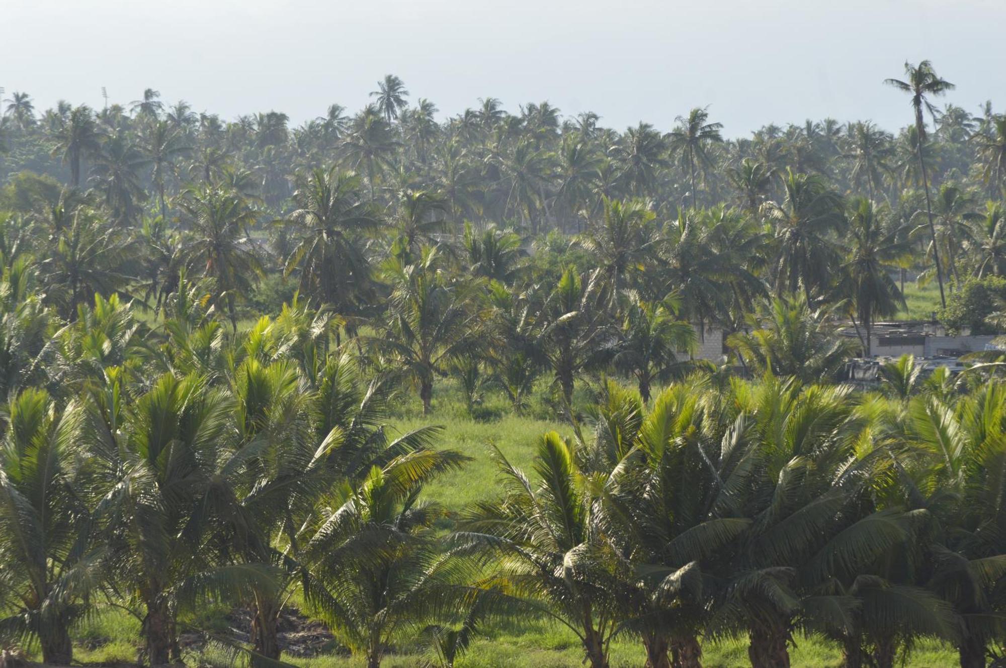 Beautiful Salalah Beach Apartments - 2 By Beautiful Salalah Tours Esterno foto